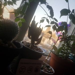 Meet your Posher, Ainsley